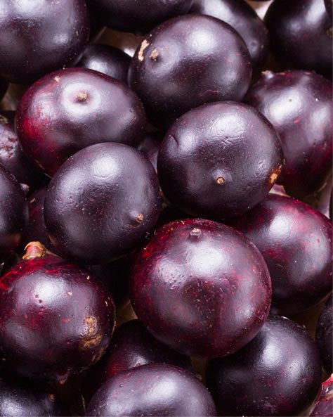 Close-up of dark purple grapes
