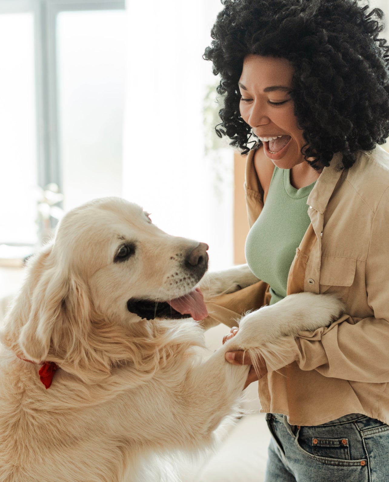 Woman playing with a golden retriever indoors