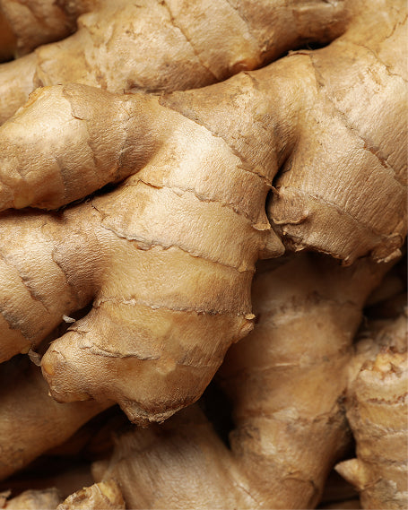 Close-up of ginger roots