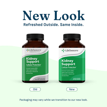 Kidney Support