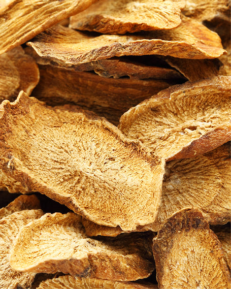 Close-up of dried Burdock Root pieces