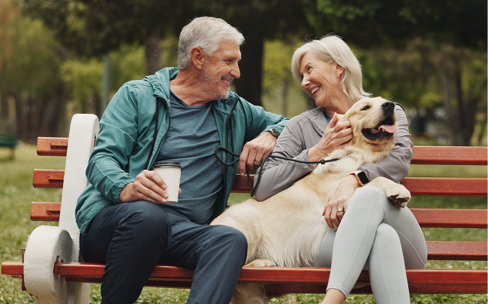 Senior couple sitting on a park bench with a dog, enjoying each other's company.