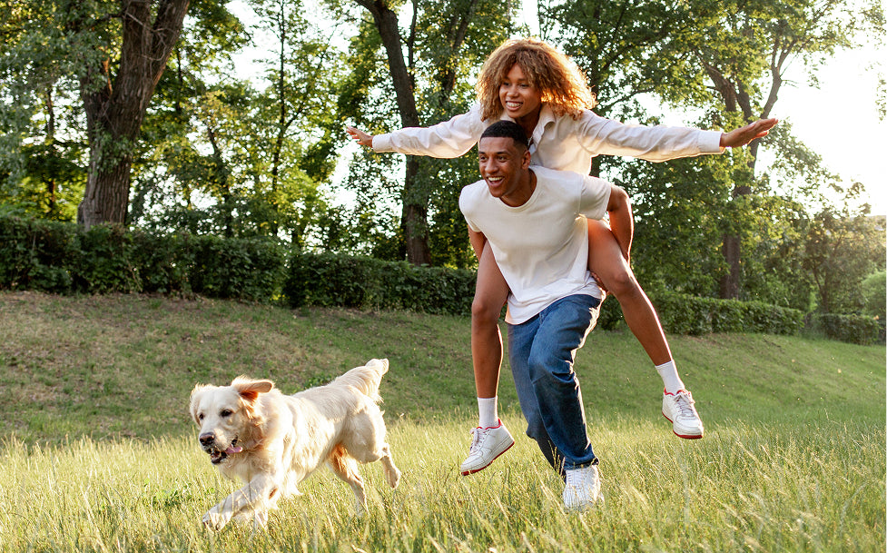 Man and woman playing with a dog in a park