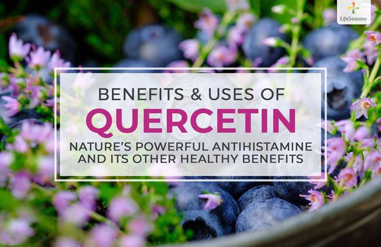 What Is Quercetin Benefits And Uses Lifeseasons