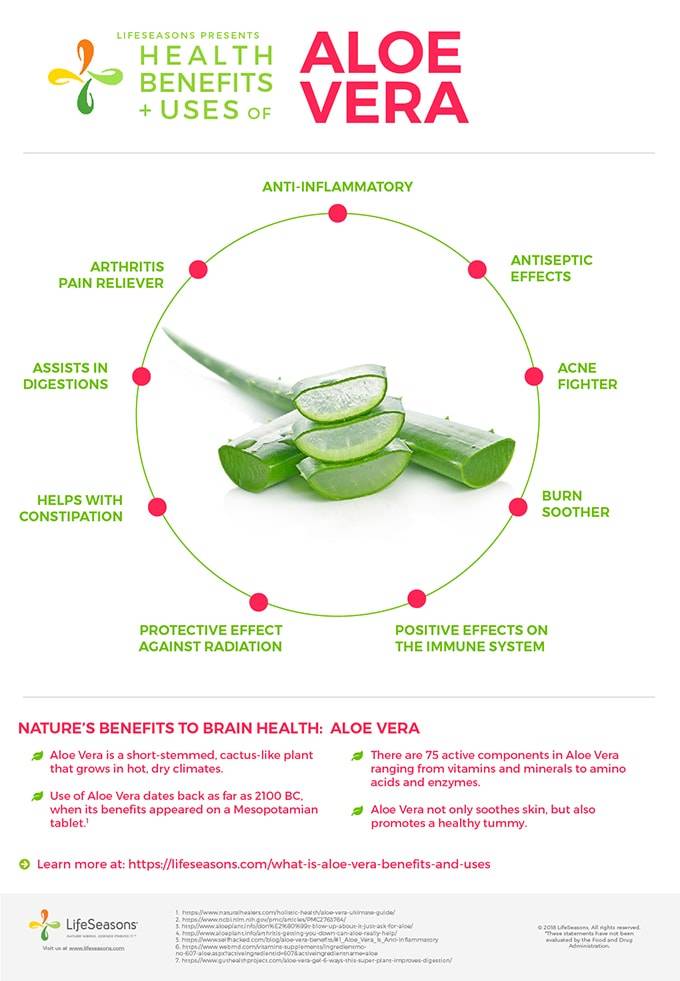 aloe vera health benefits and uses