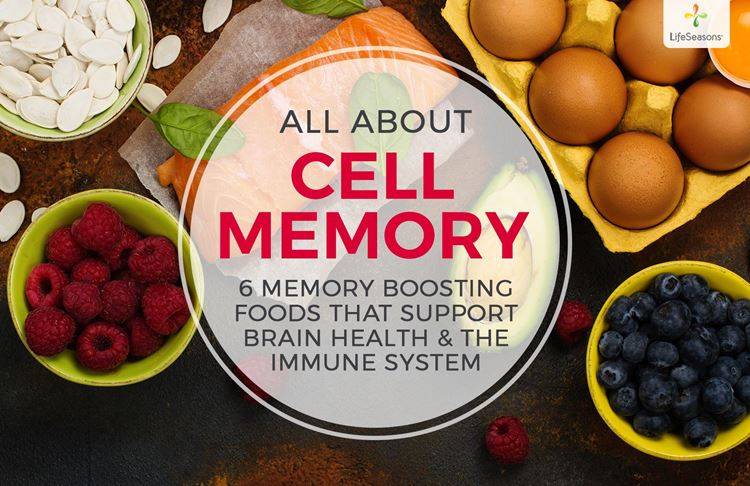 Memory Boosting Foods and Supplements